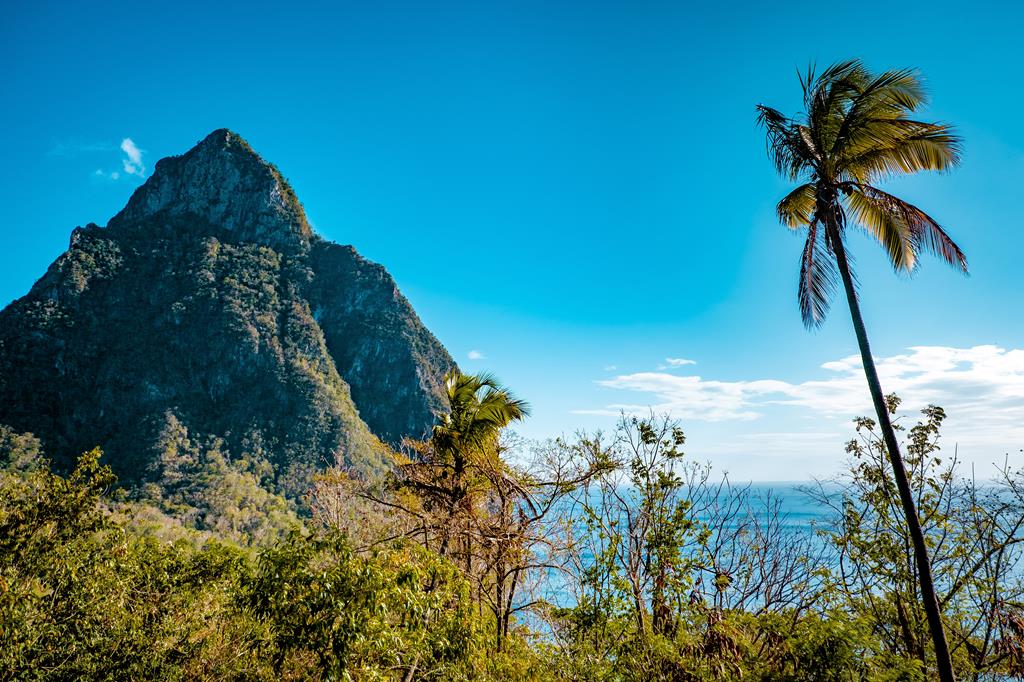 9 dg cruise Caribische Zee Marella Discovery 2 sterren Aruba